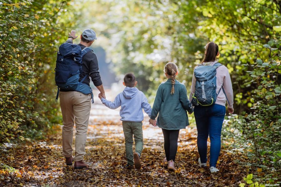 Aprobar una ley de familias